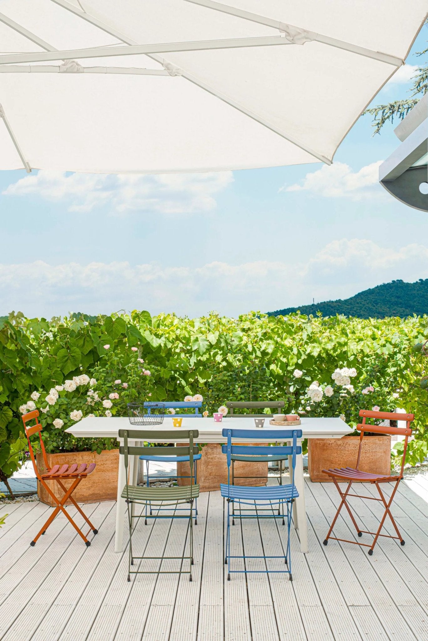 BALCONY - Basic Collection Kft.