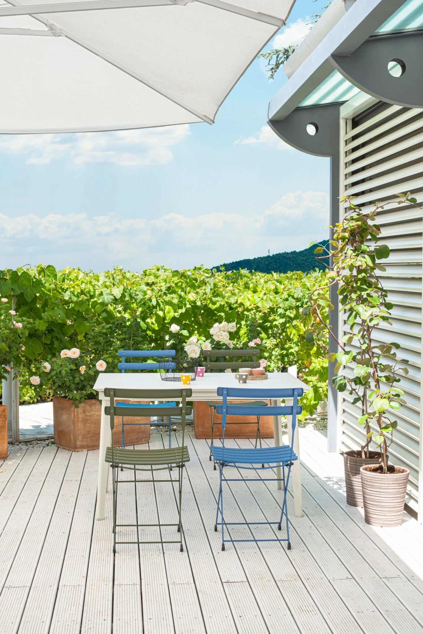 BALCONY - Basic Collection Kft.