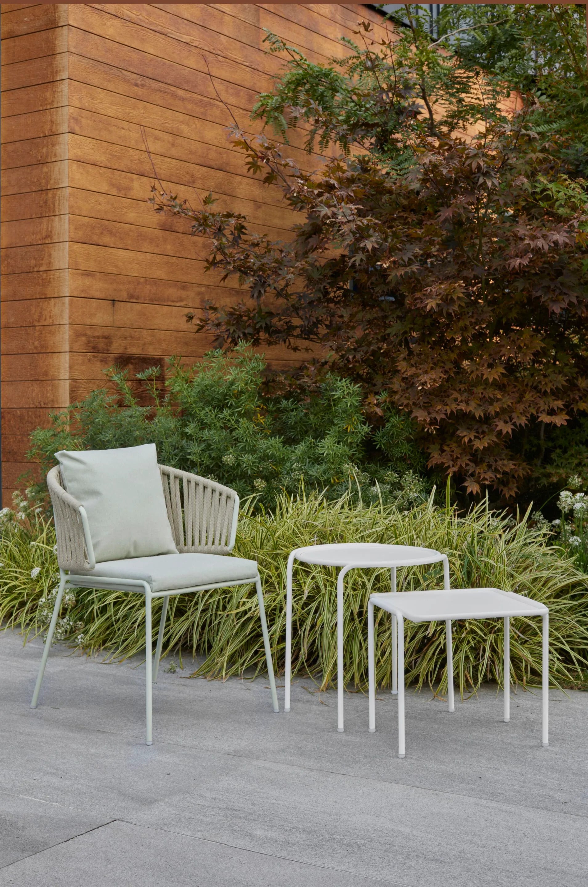 LISA FILÒ NEST - kép 3