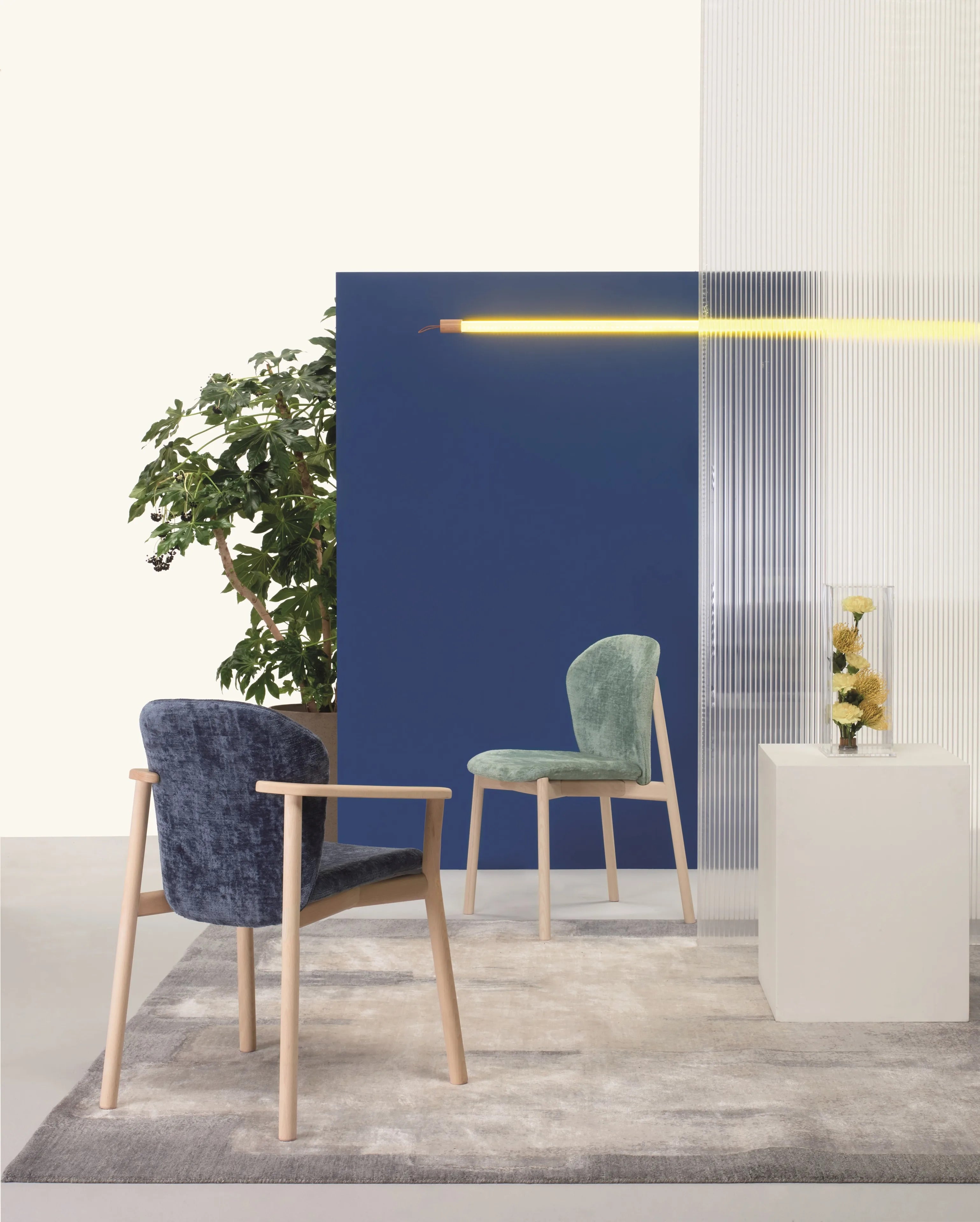 NATURAL FINN - kép 13