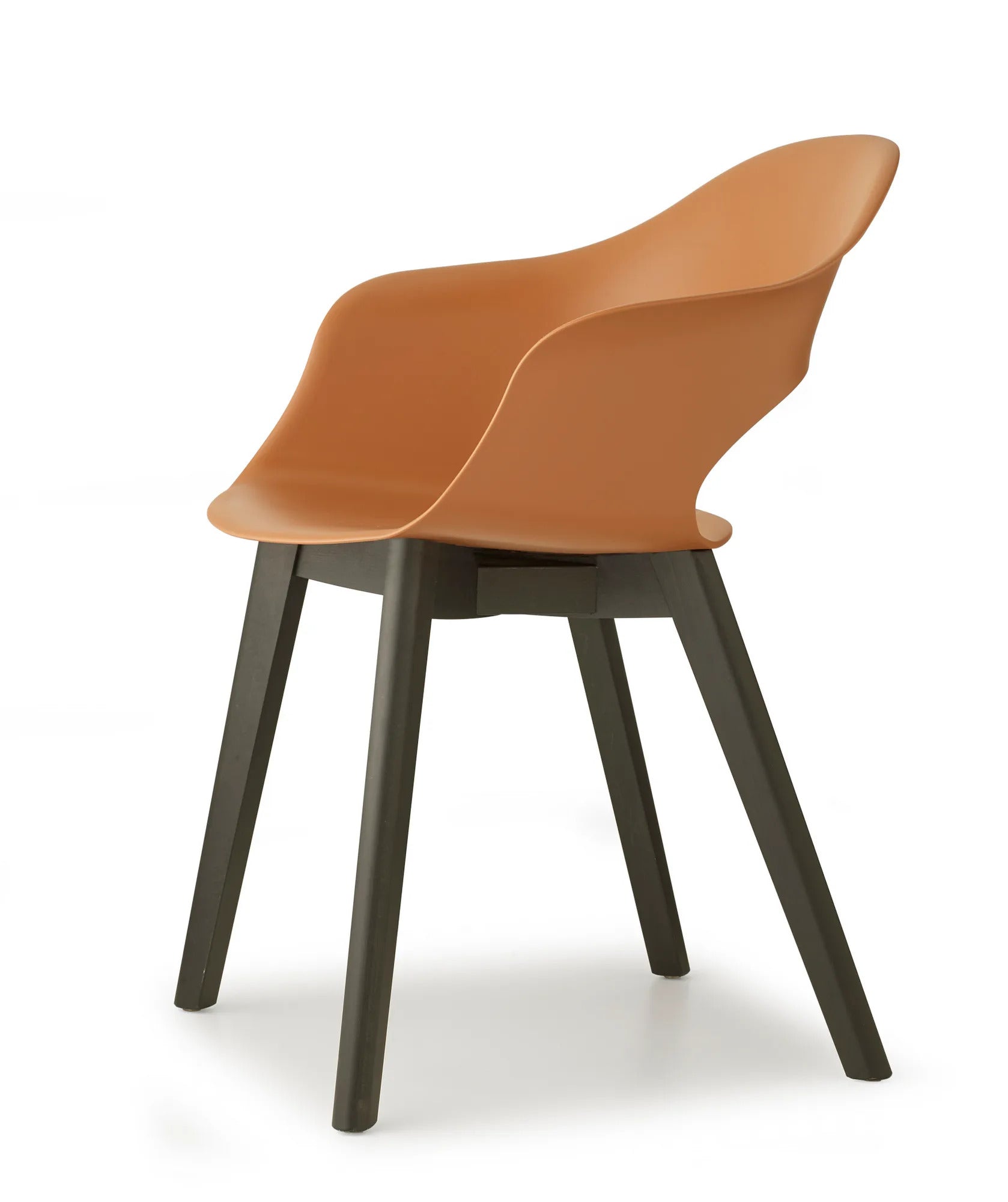 NATURAL LADY B - kép 2