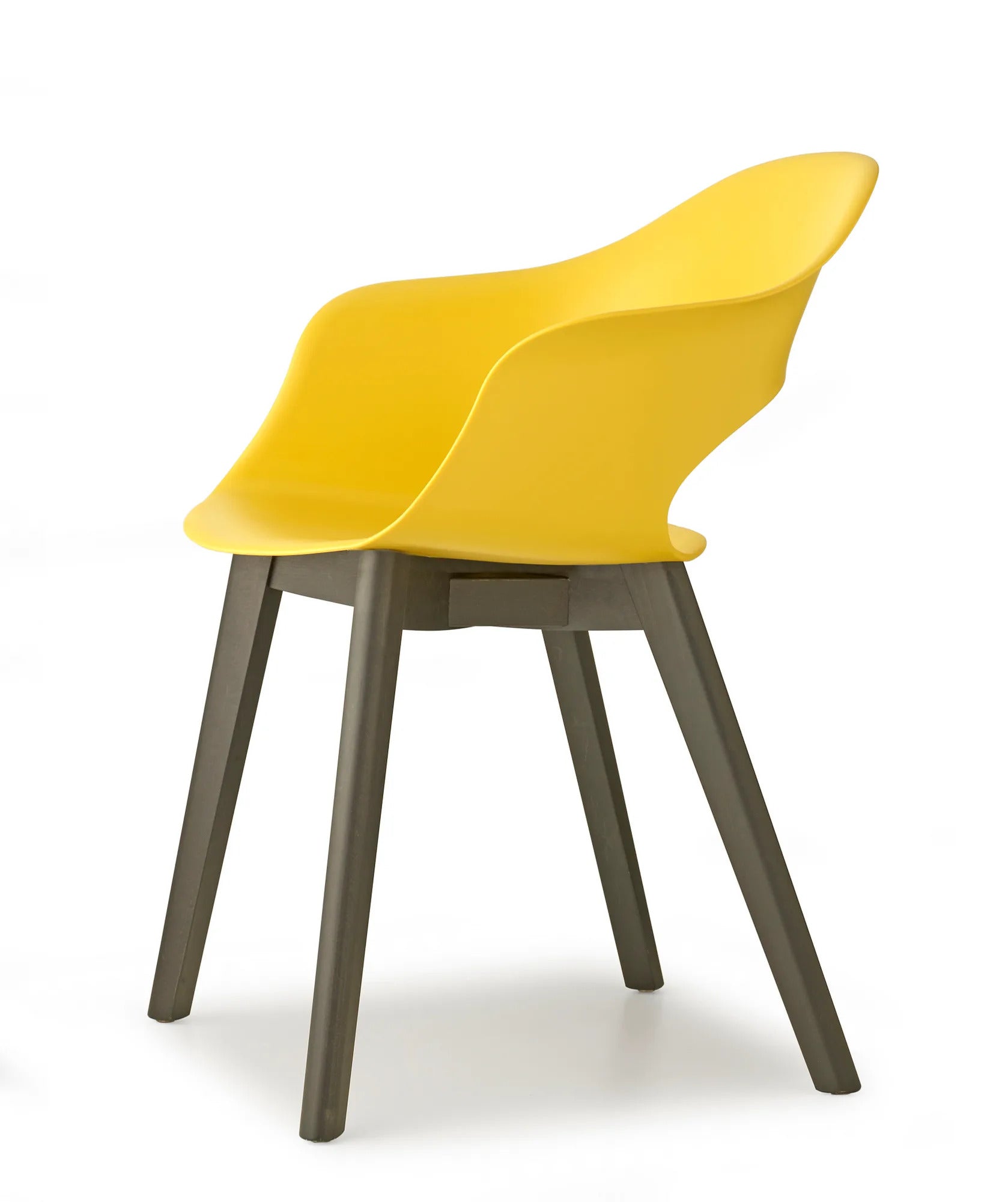 NATURAL LADY B - kép 5