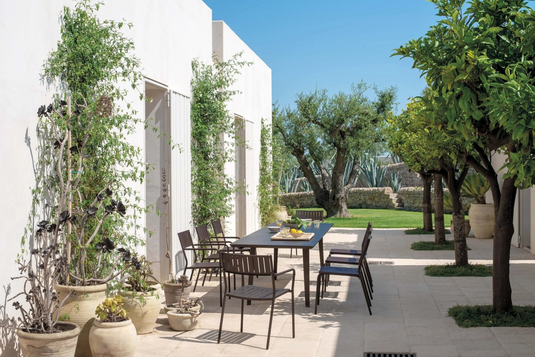 BRIDGE - Basic Collection Kft.