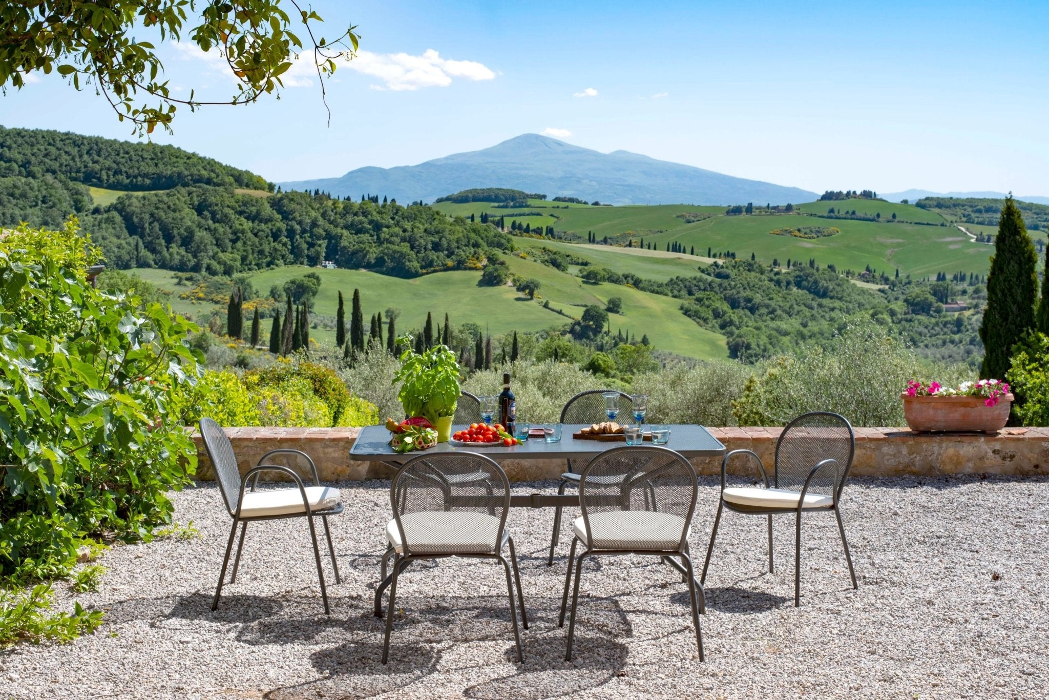 CAMBI - Basic Collection Kft.