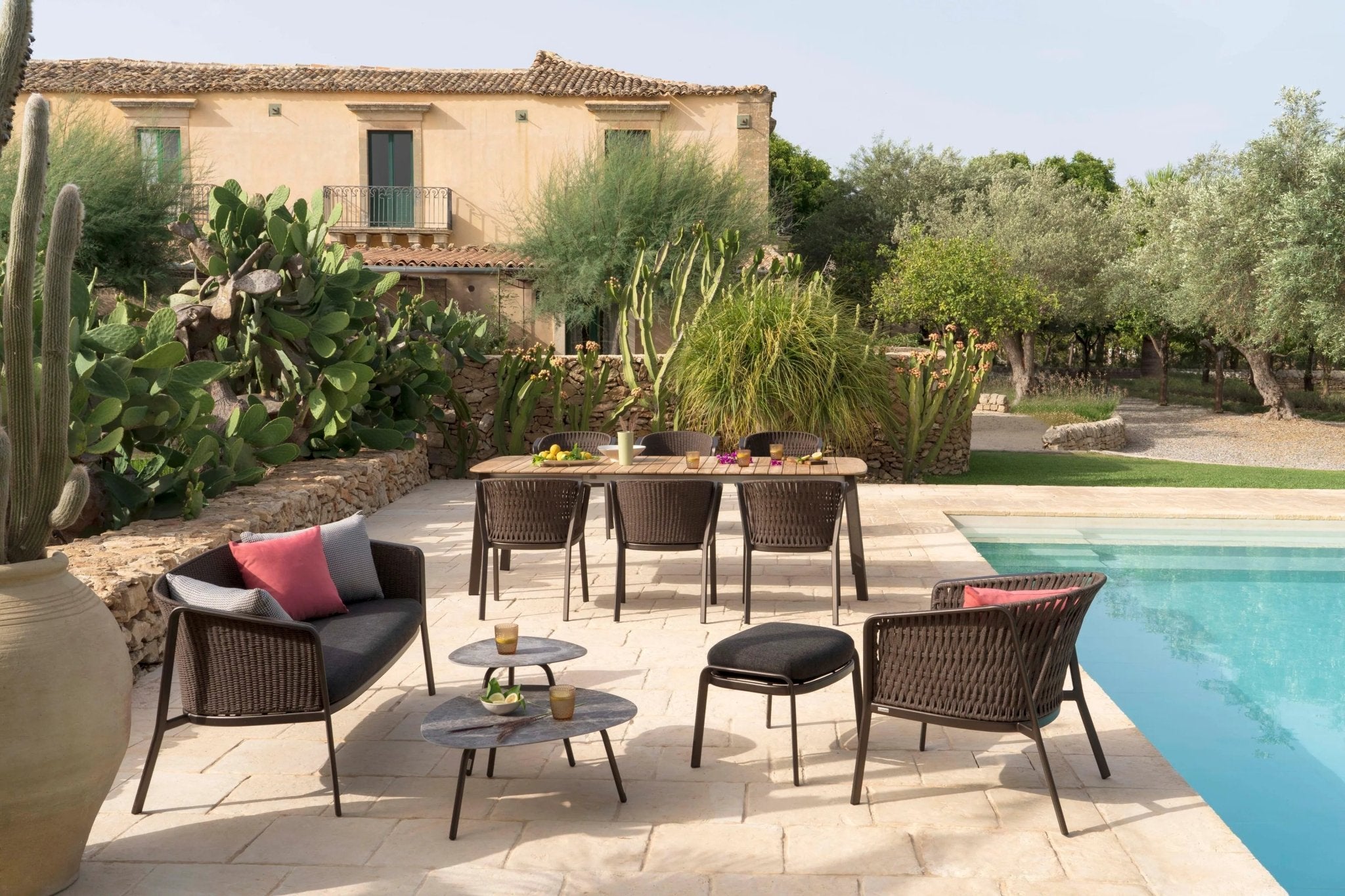 CAROUSEL - Basic Collection Kft.