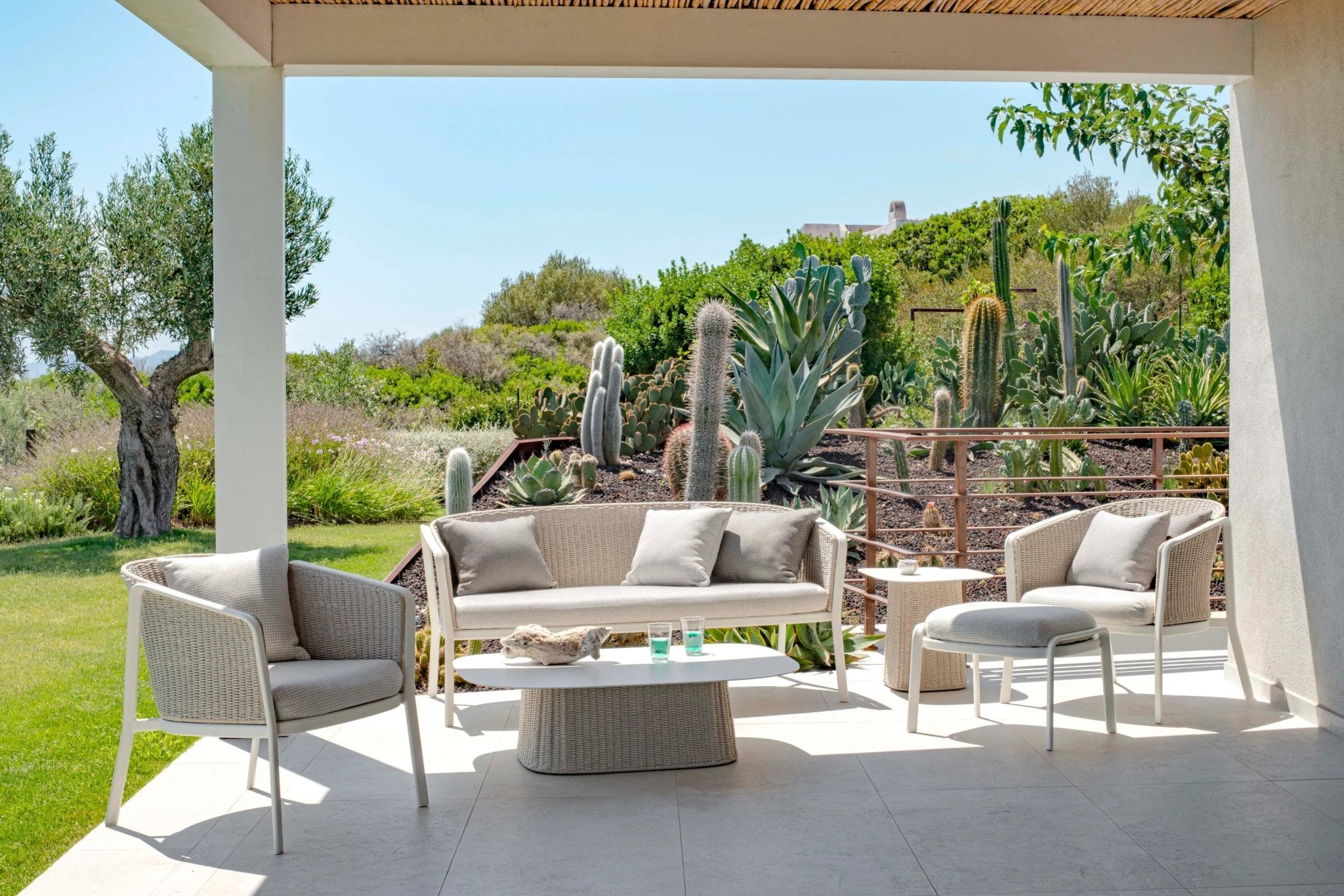 CAROUSEL - Basic Collection Kft.