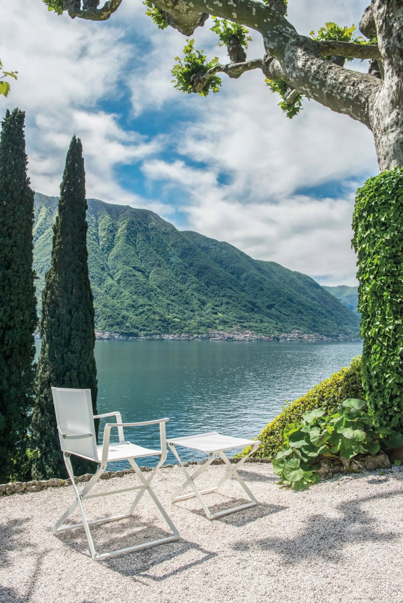 CIAK - Basic Collection Kft.