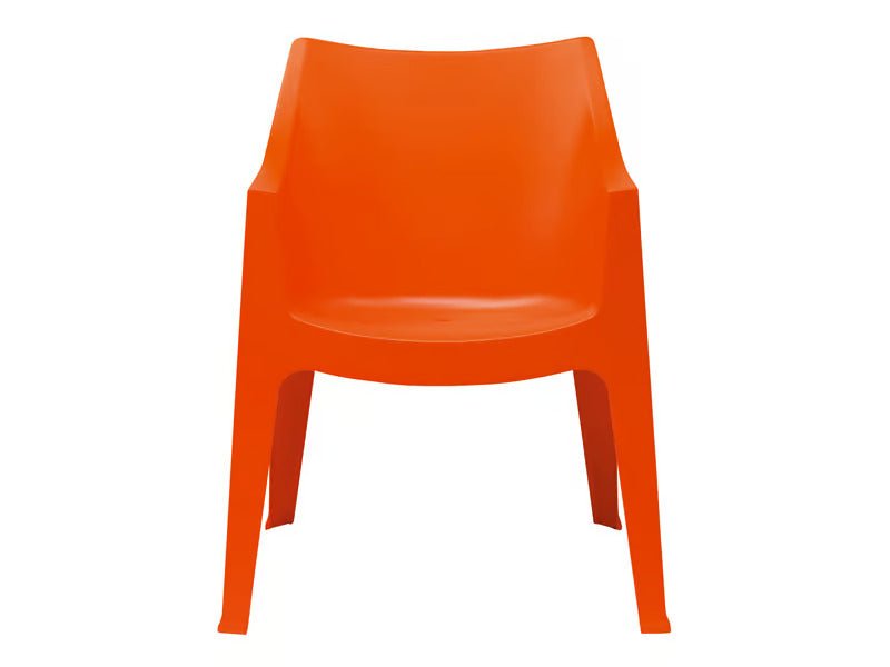 COCCOLONA - Basic Collection Kft.