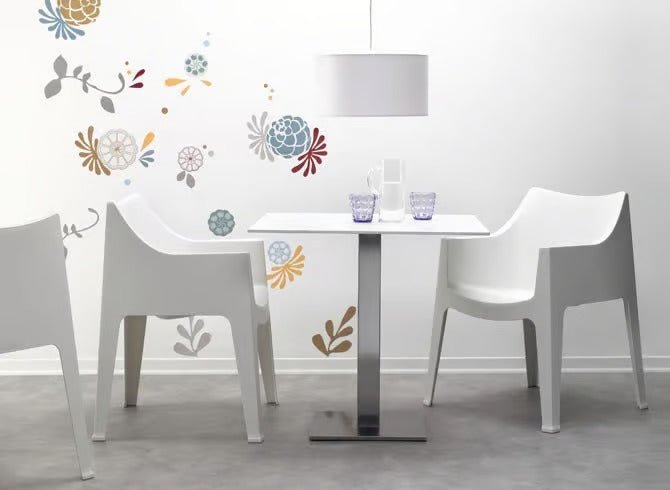 COCCOLONA - Basic Collection Kft.