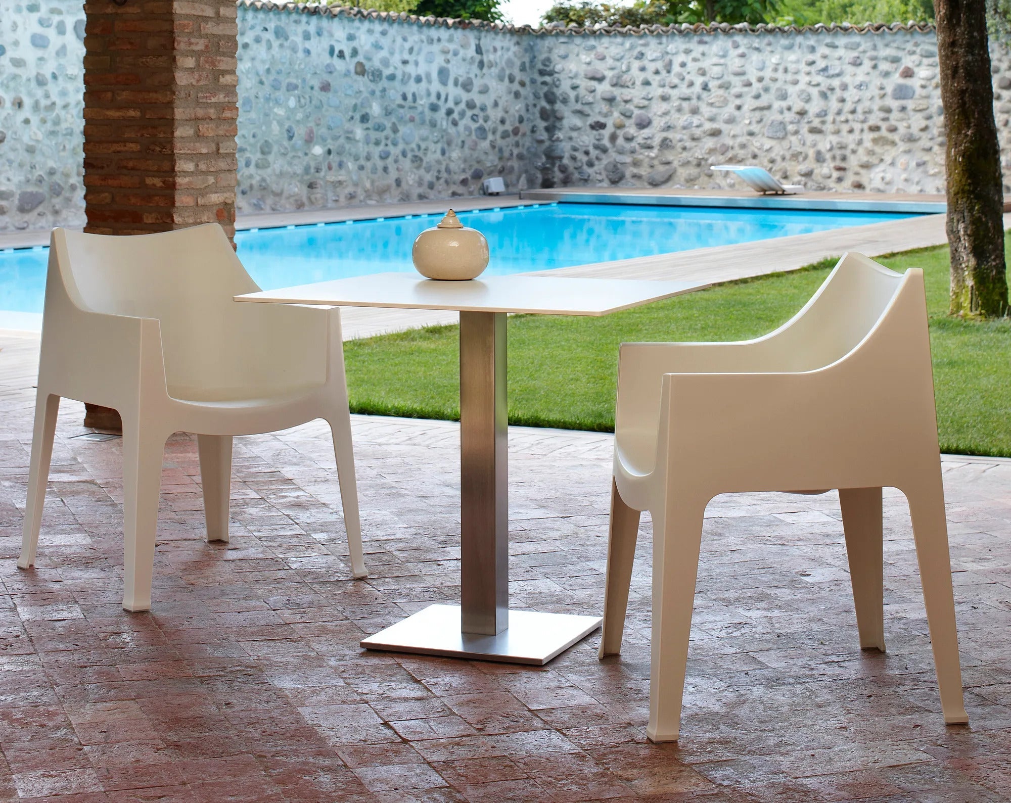COCCOLONA - Basic Collection Kft.