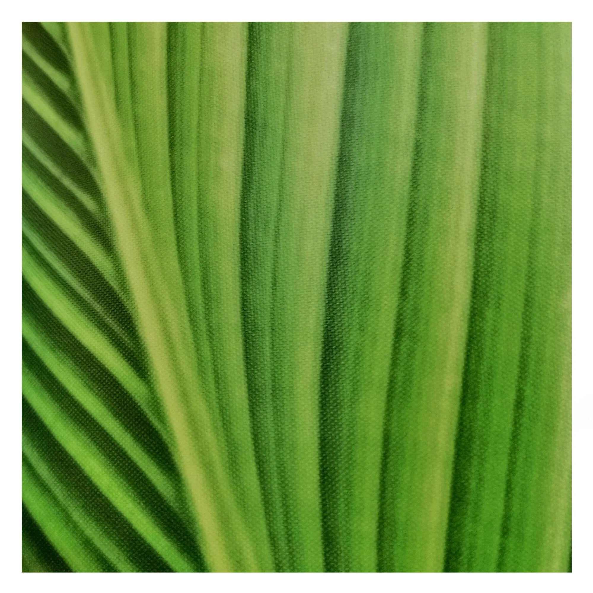 CONE - Basic Collection Kft.