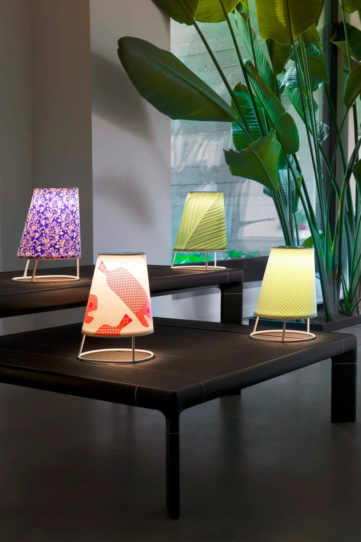 CONE - Basic Collection Kft.