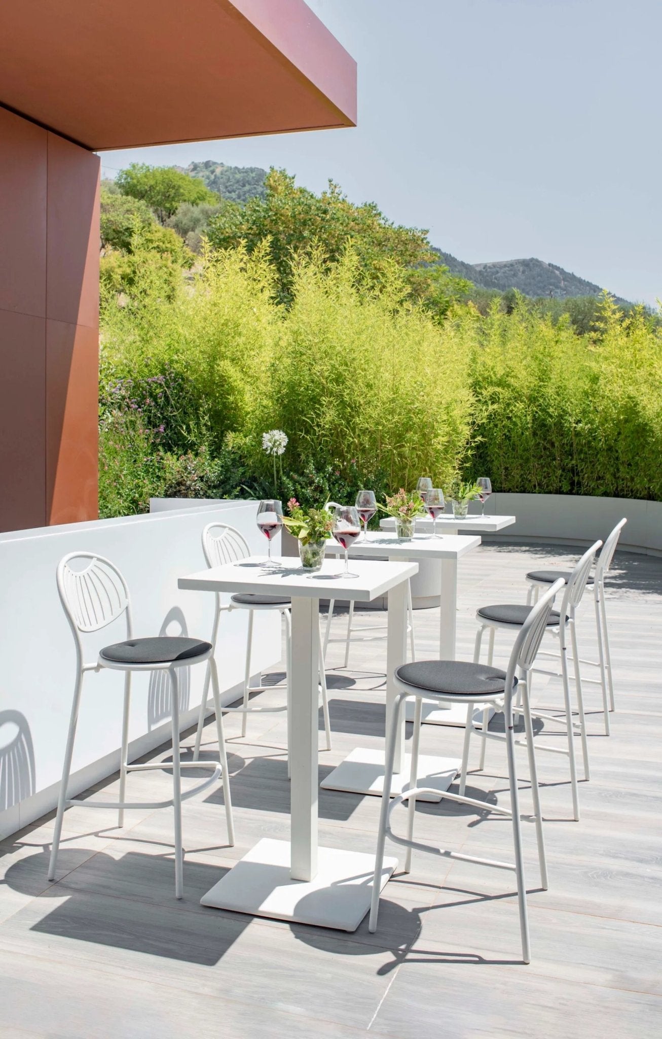 COUPOLE - Basic Collection Kft.