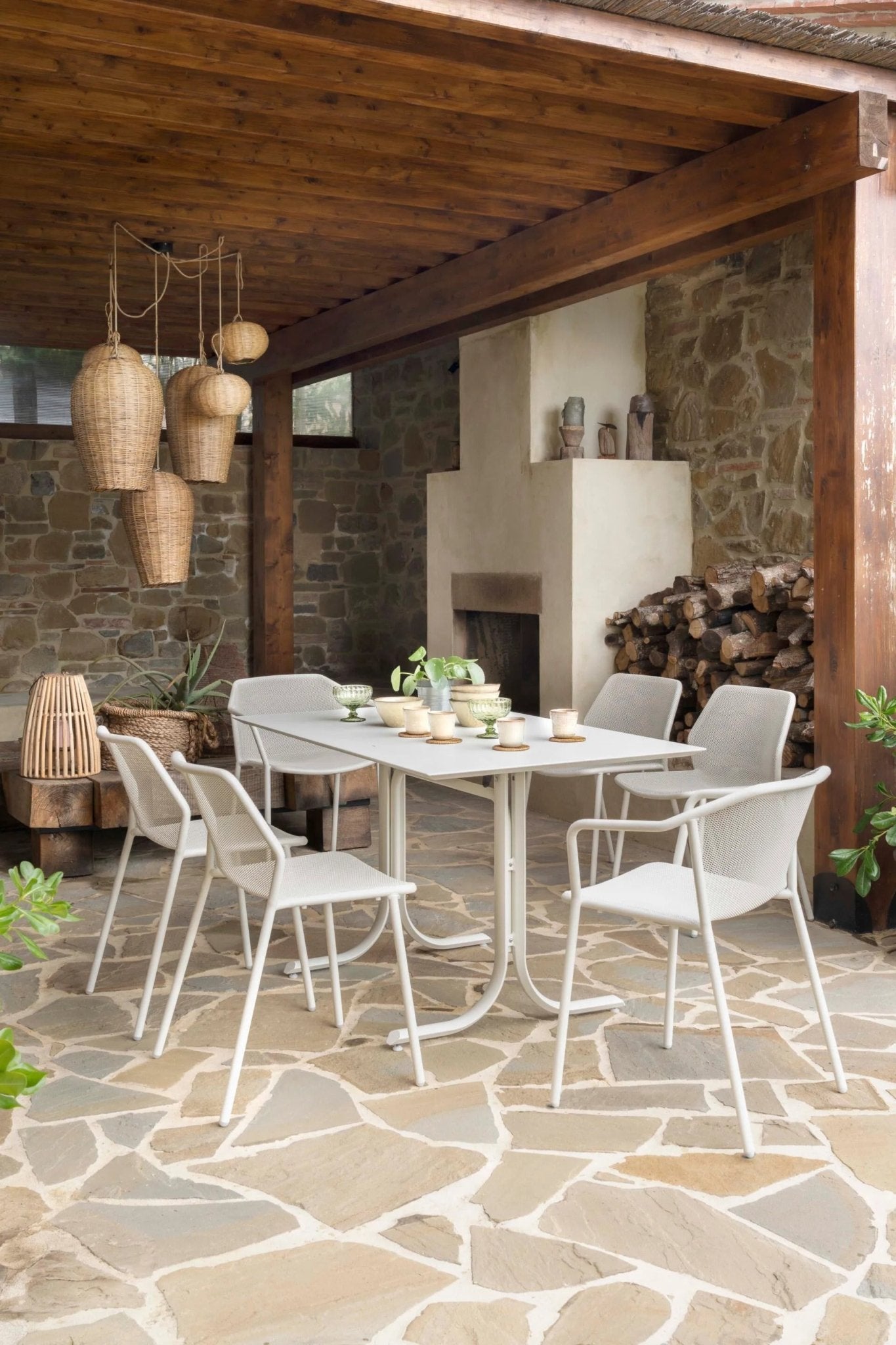 DARWIN - Basic Collection Kft.