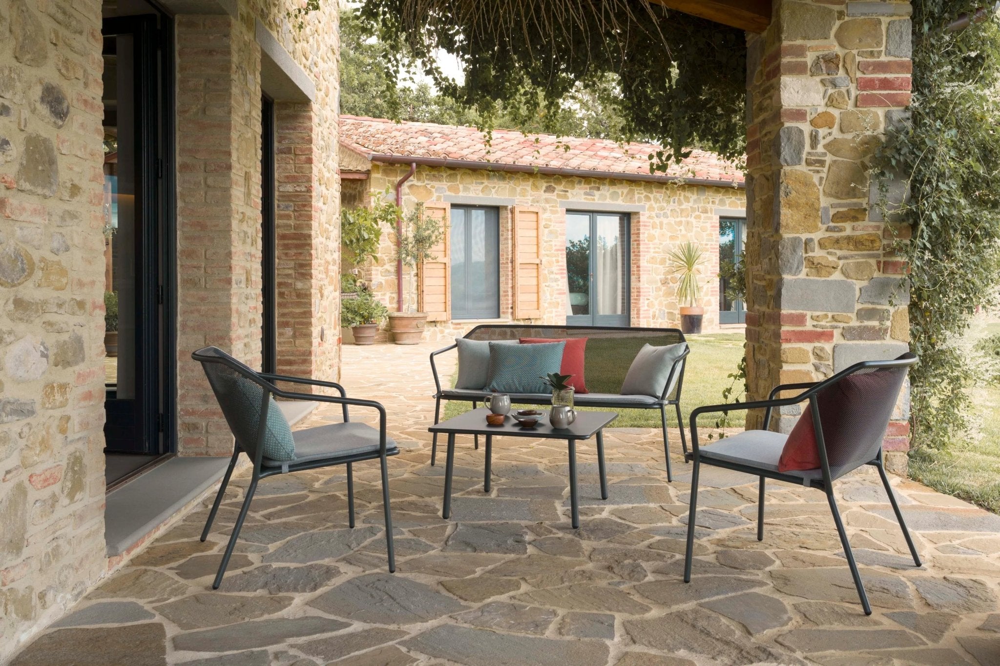 DARWIN - Basic Collection Kft.