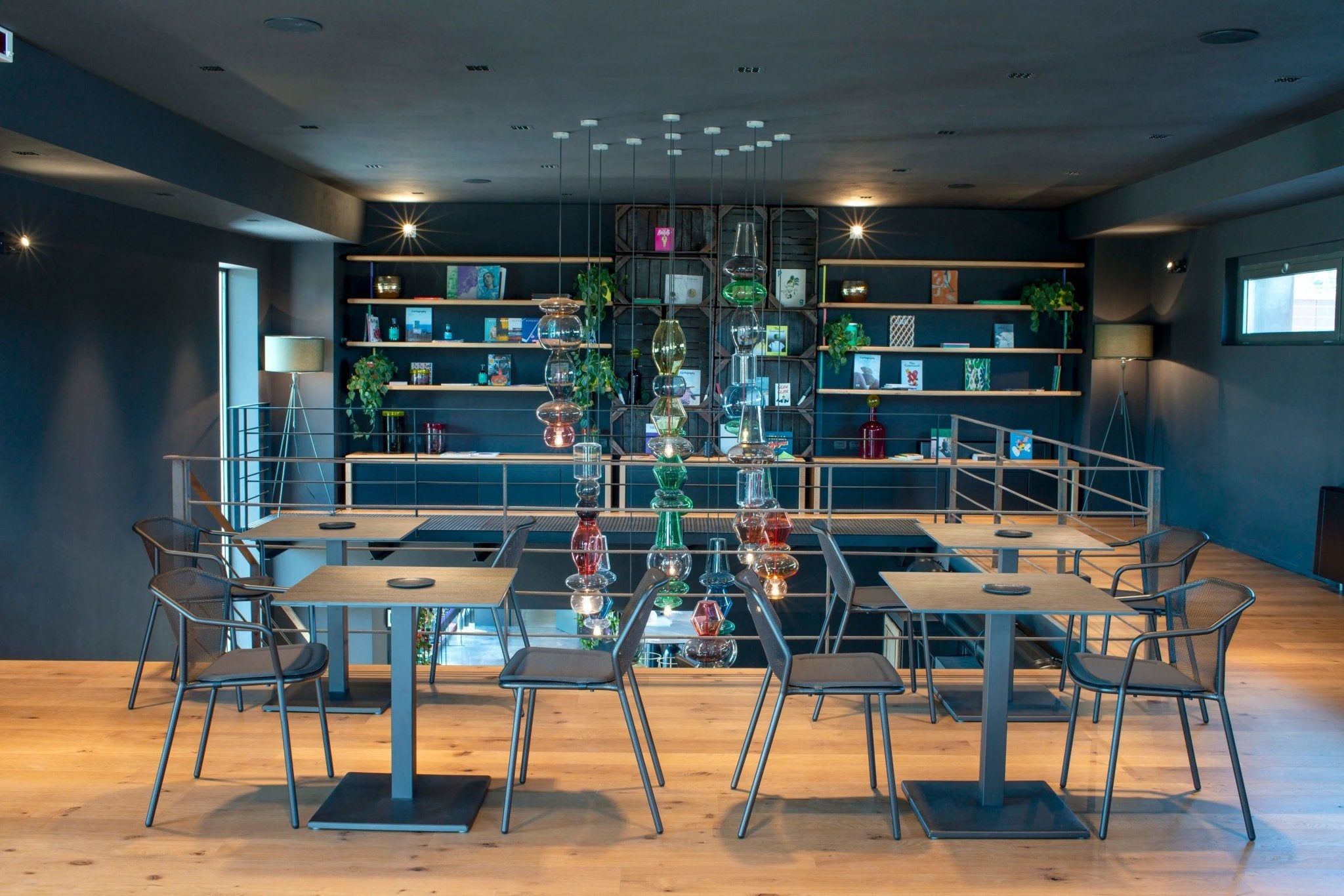 DARWIN - Basic Collection Kft.