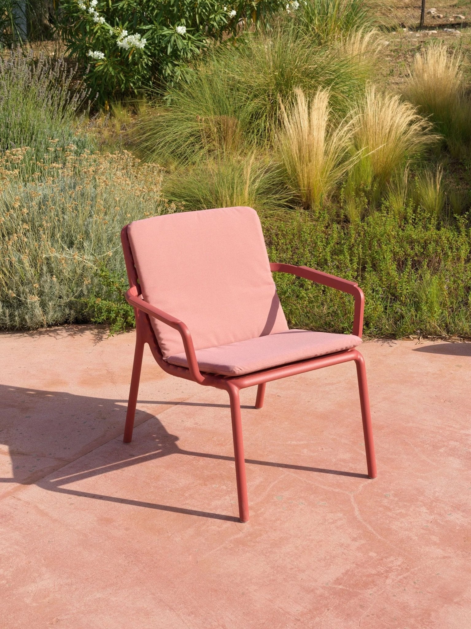 DOGA RELAX - Basic Collection Kft.