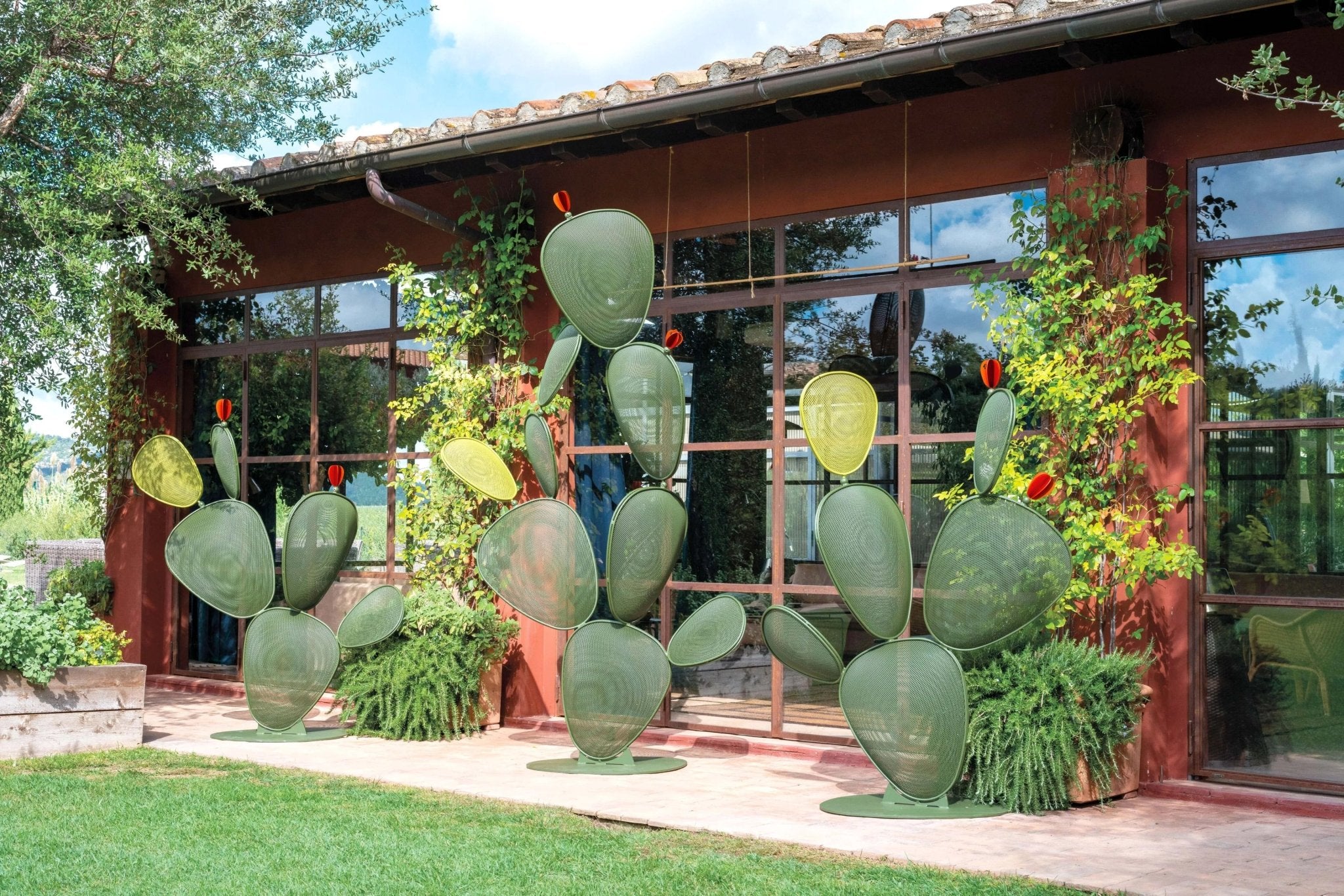 FICUS - Basic Collection Kft.