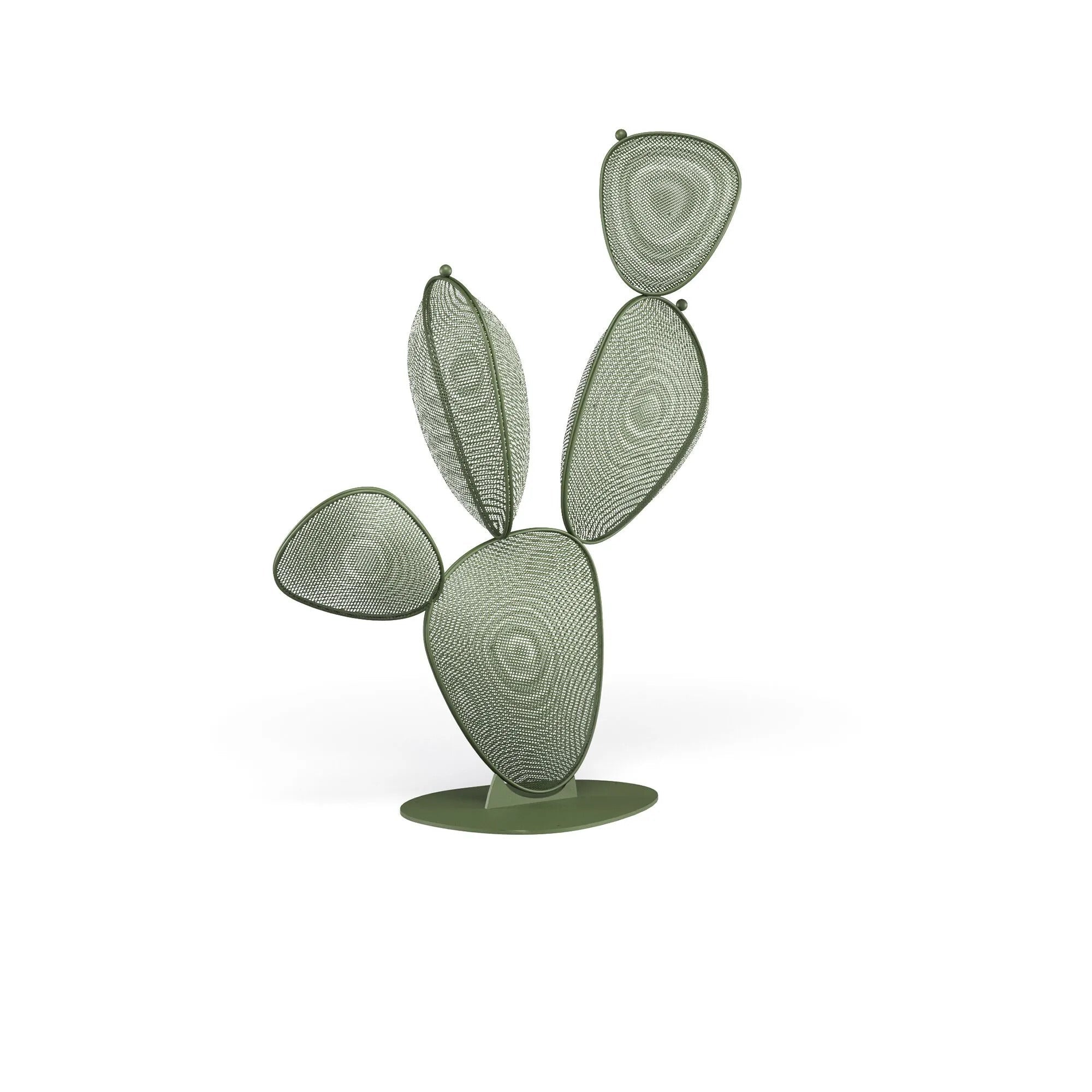 FICUS - Basic Collection Kft.