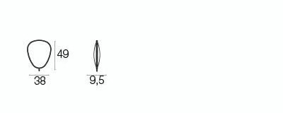 FICUS - Basic Collection Kft.