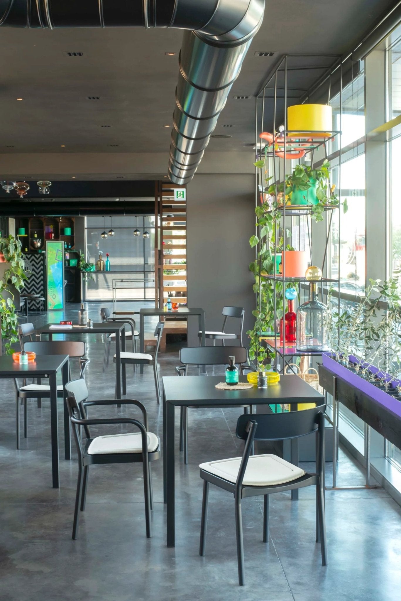 GRACE - Basic Collection Kft.