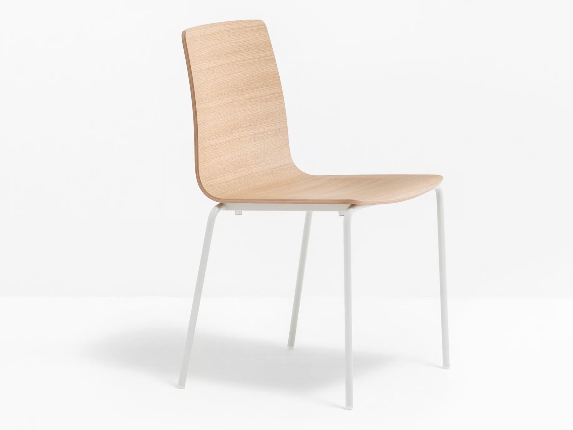 INGA 5613 - Basic Collection Kft.