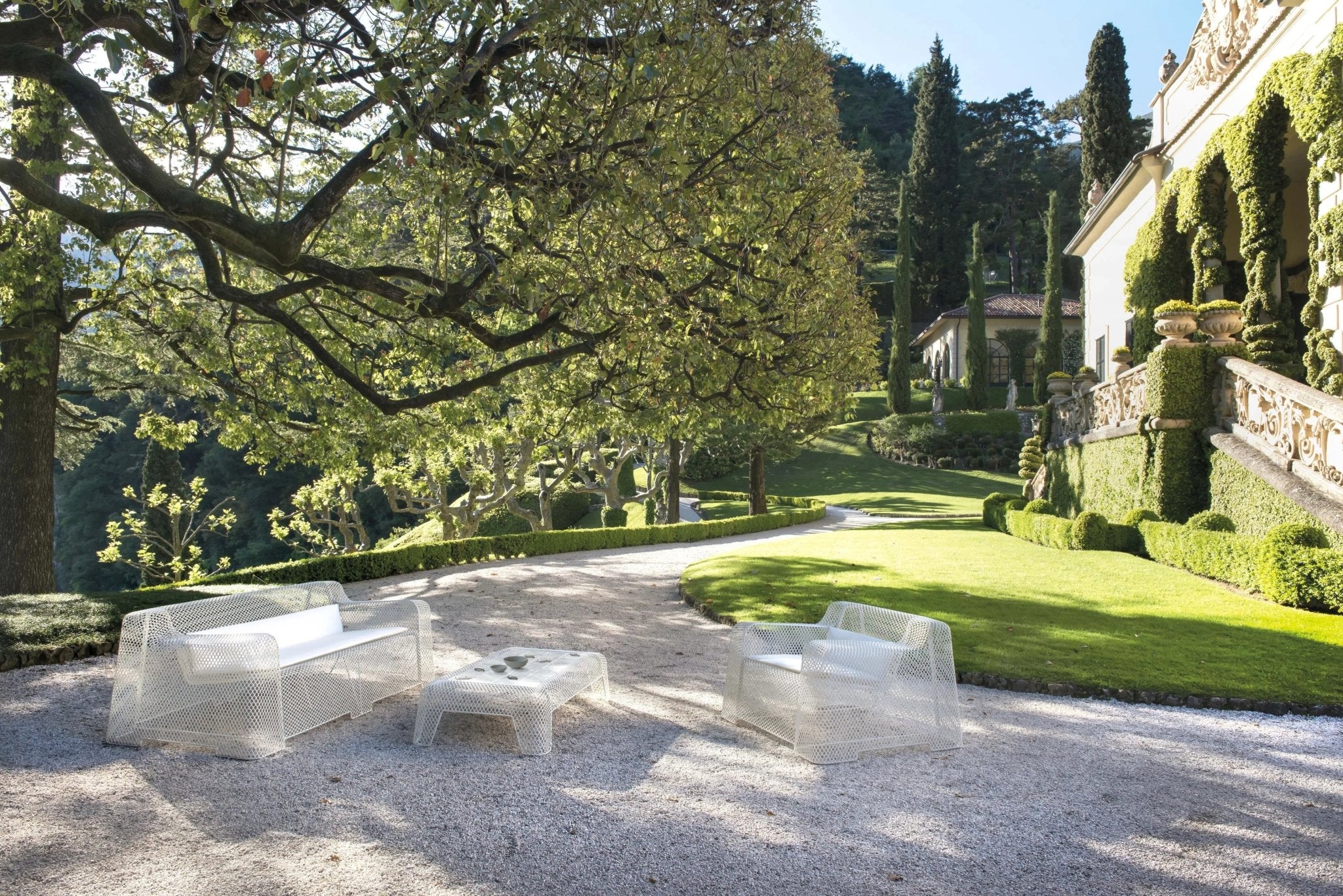 IVY - Basic Collection Kft.