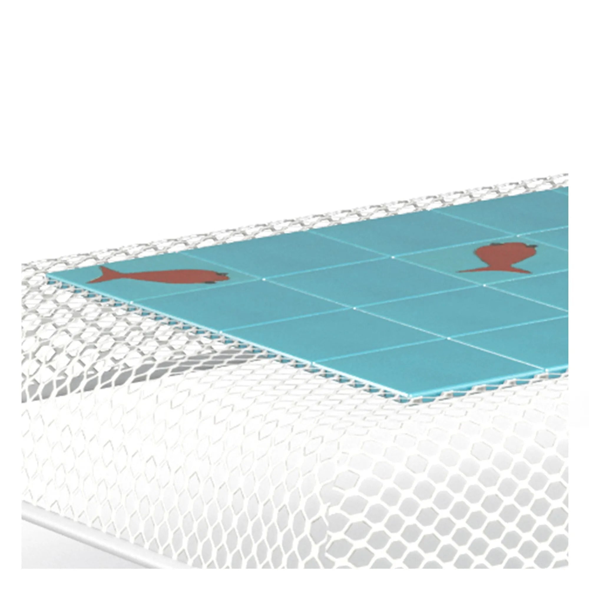 IVY - Basic Collection Kft.