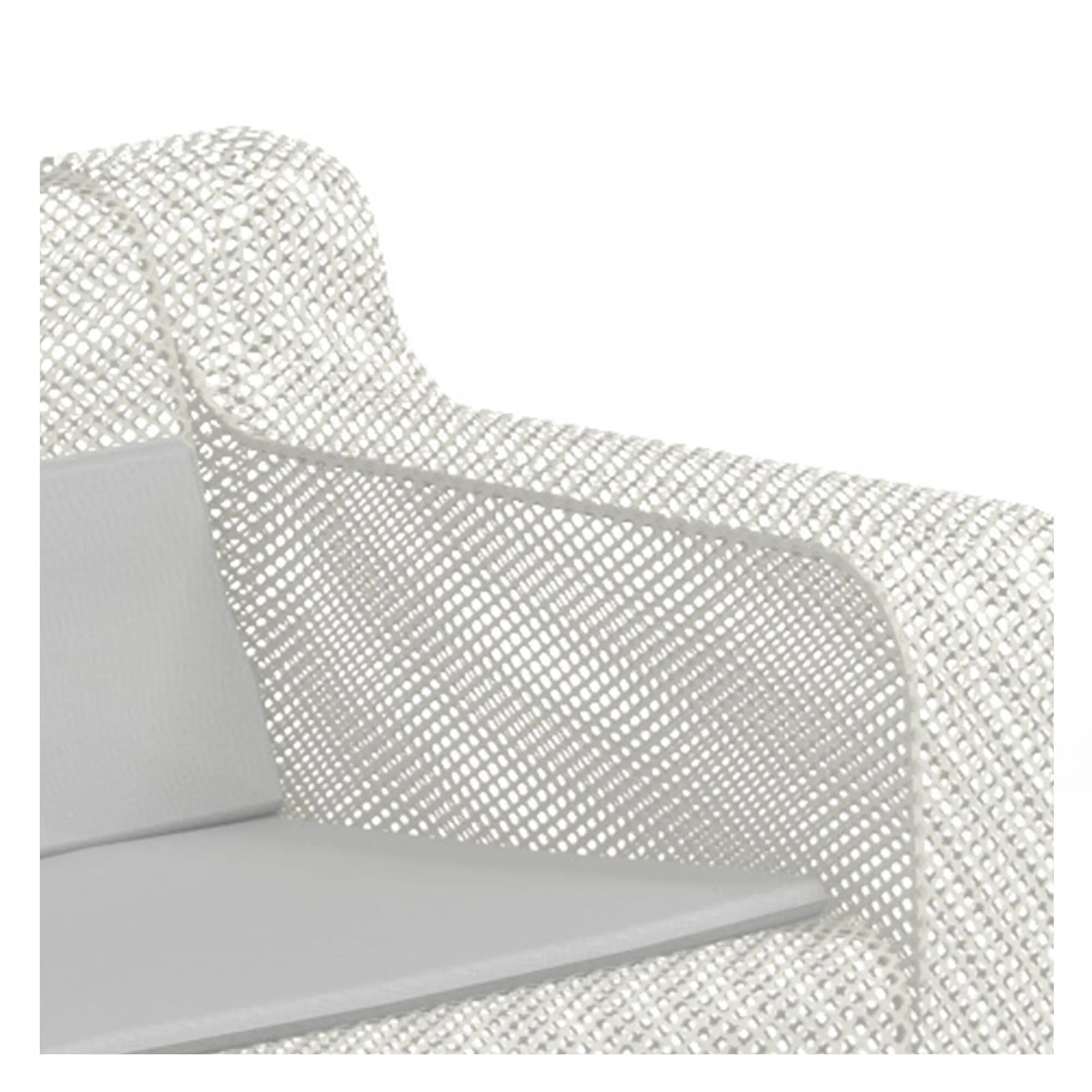 IVY - Basic Collection Kft.