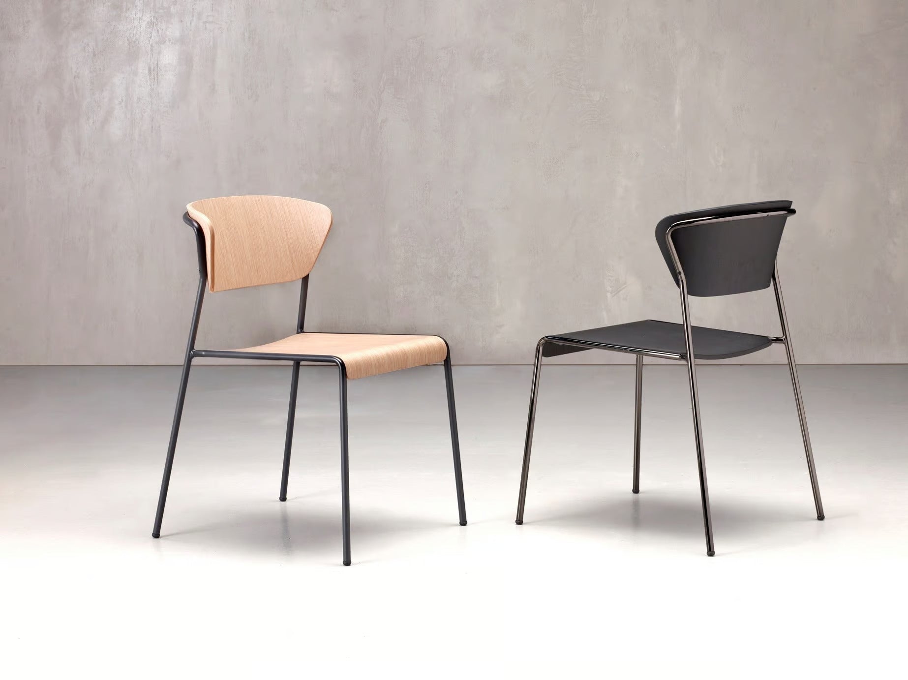 LISA WOOD - Basic Collection Kft.