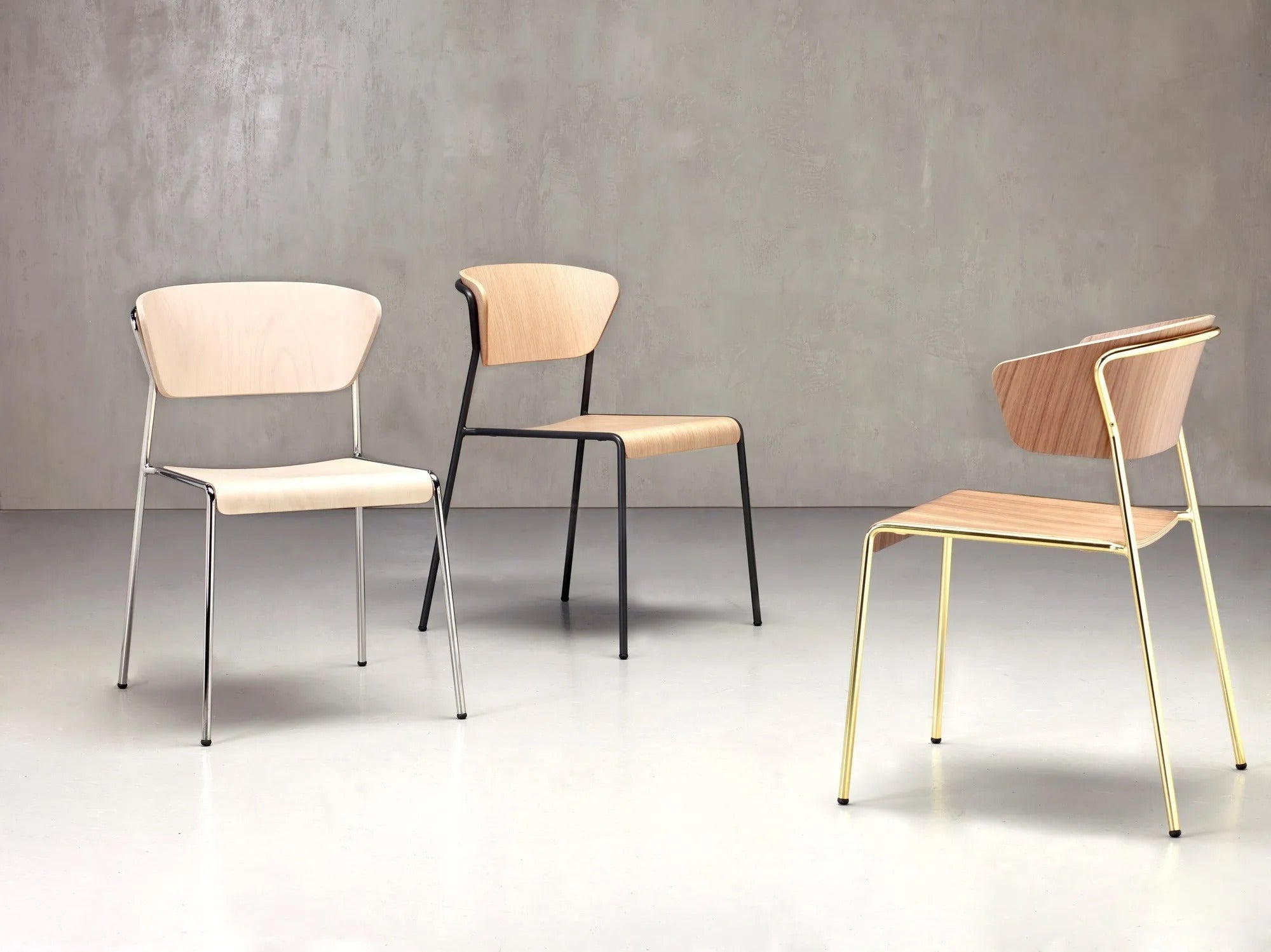 LISA WOOD - Basic Collection Kft.