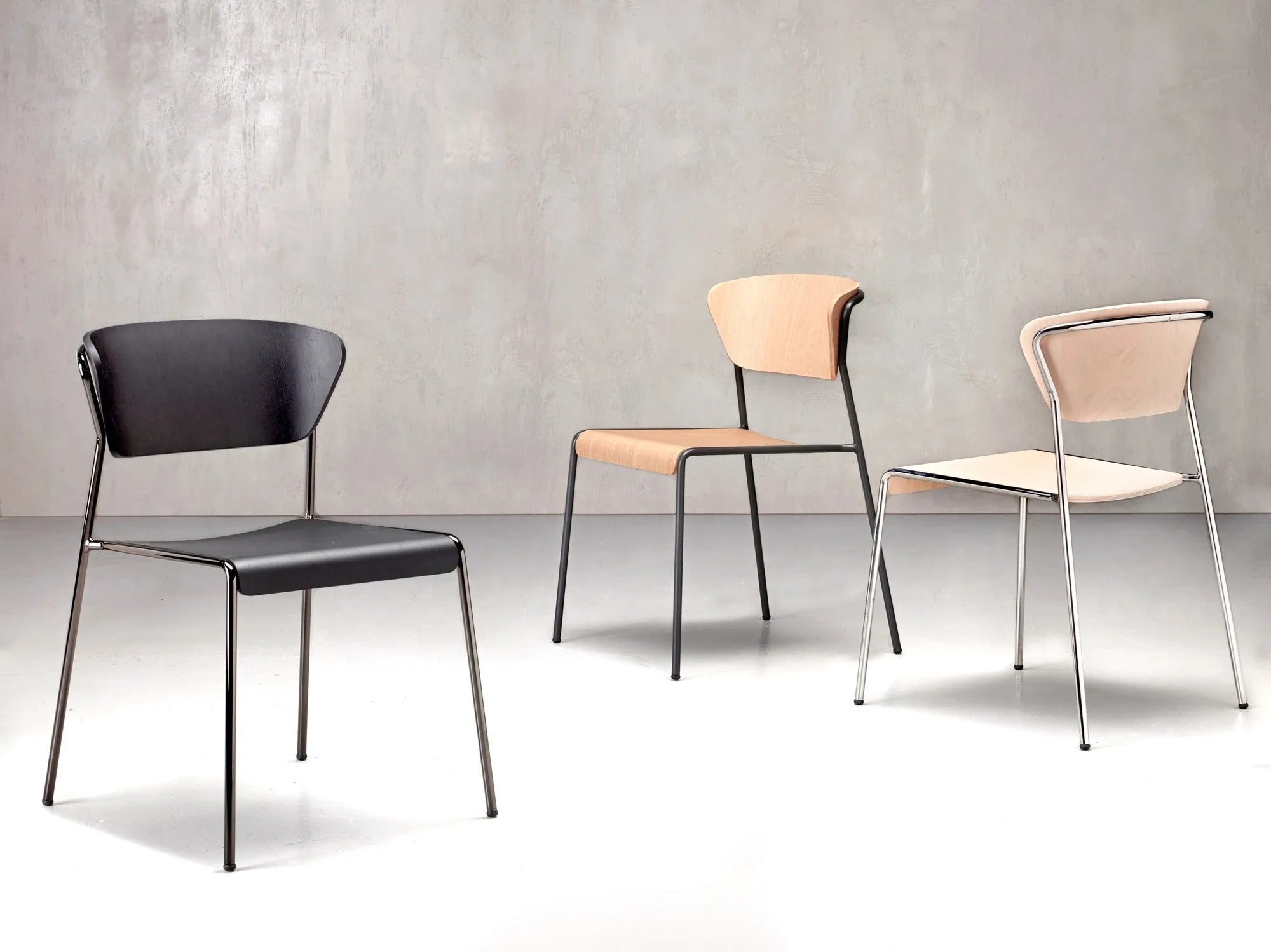 LISA WOOD - Basic Collection Kft.