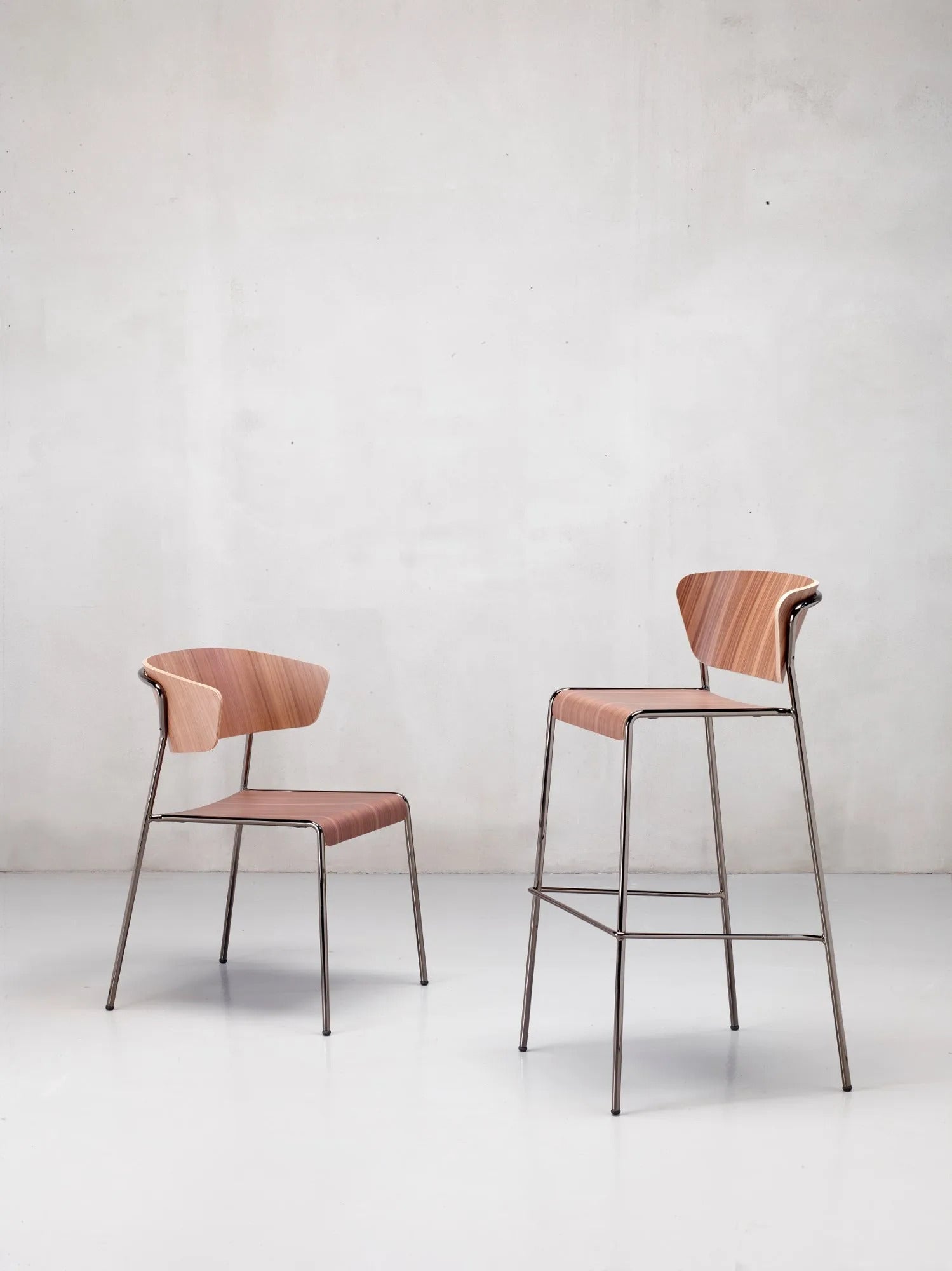 LISA WOOD - Basic Collection Kft.