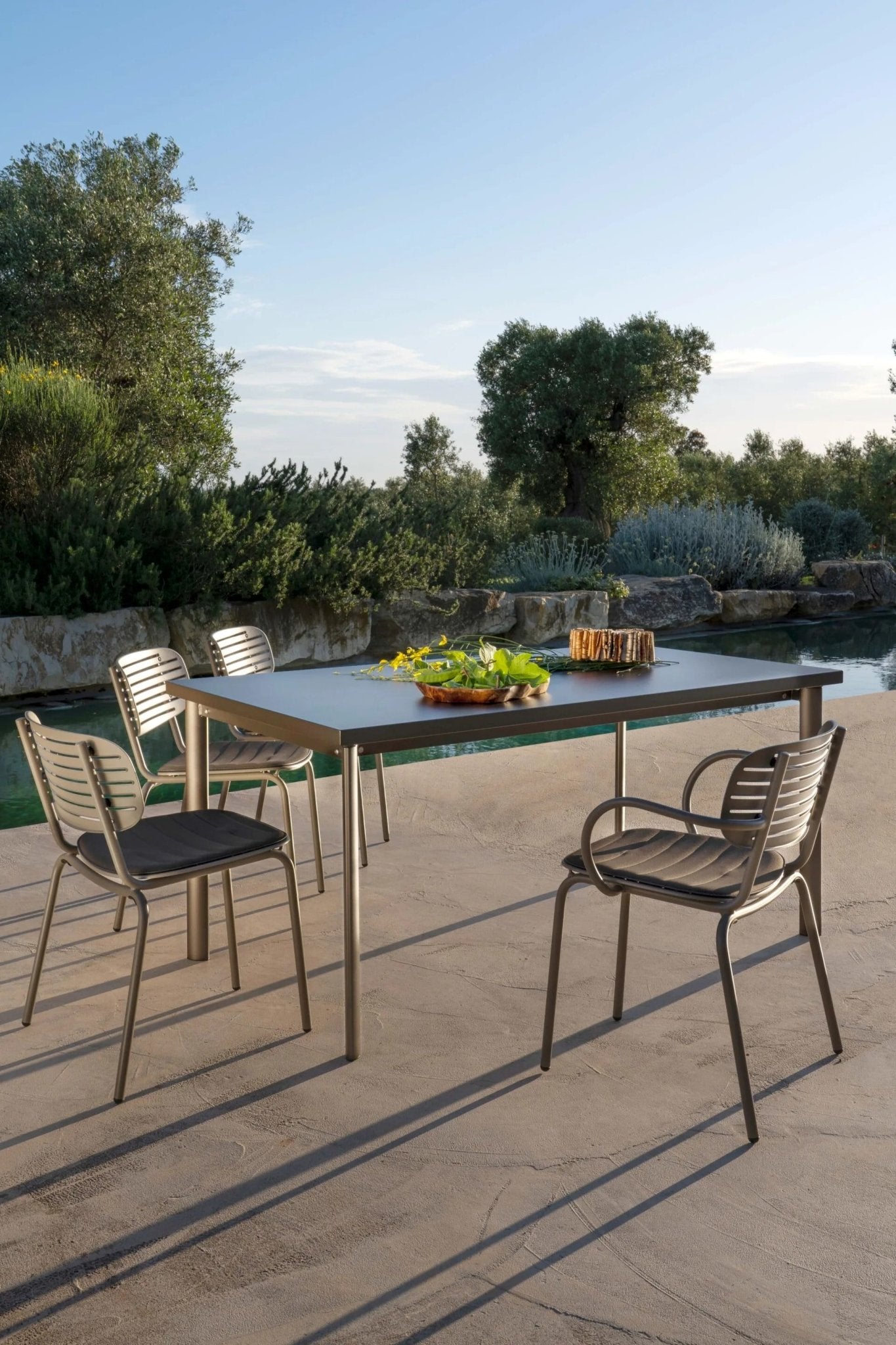 MOM - Basic Collection Kft.