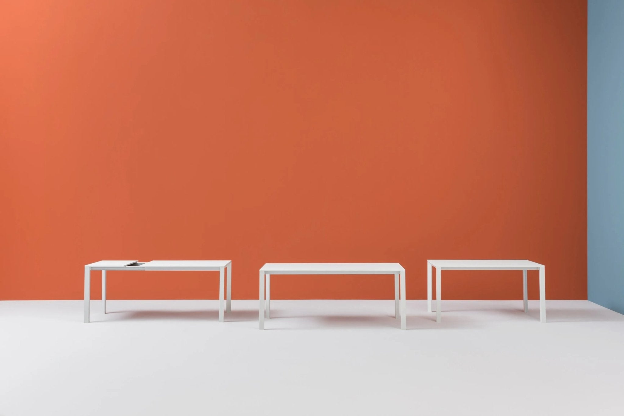 MORE - Basic Collection Kft.