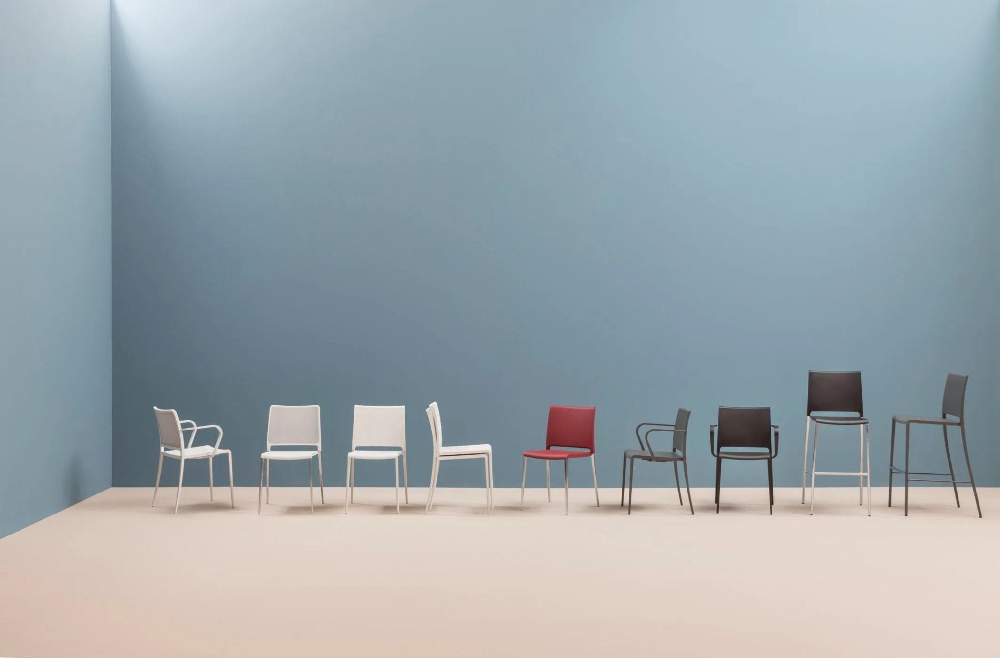 MYA 711 - Basic Collection Kft.