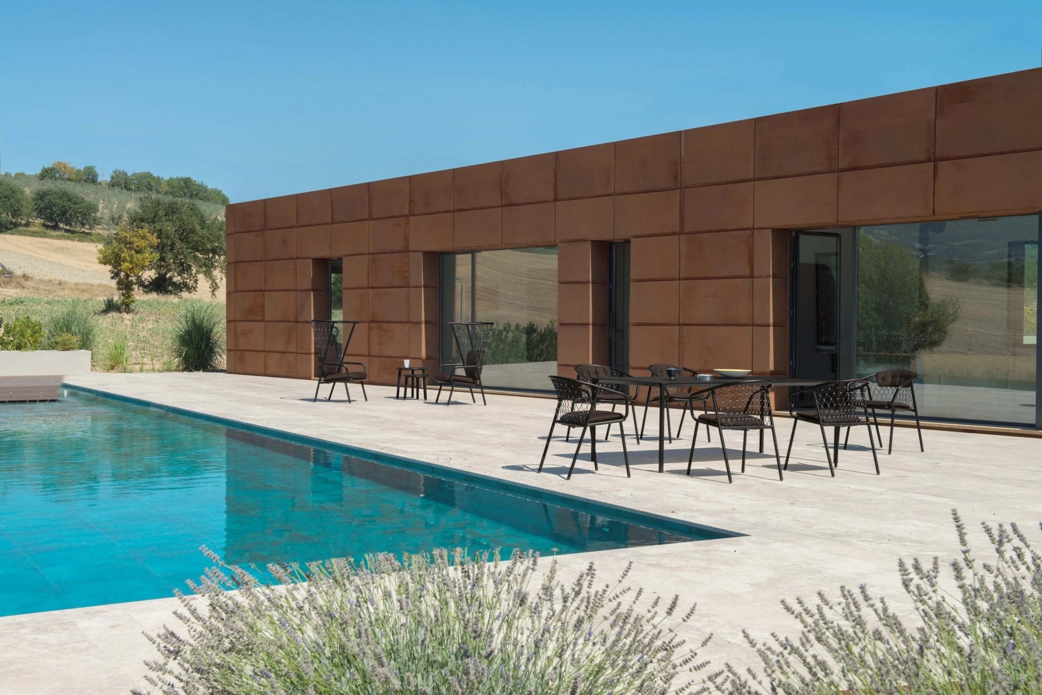 NEF - Basic Collection Kft.