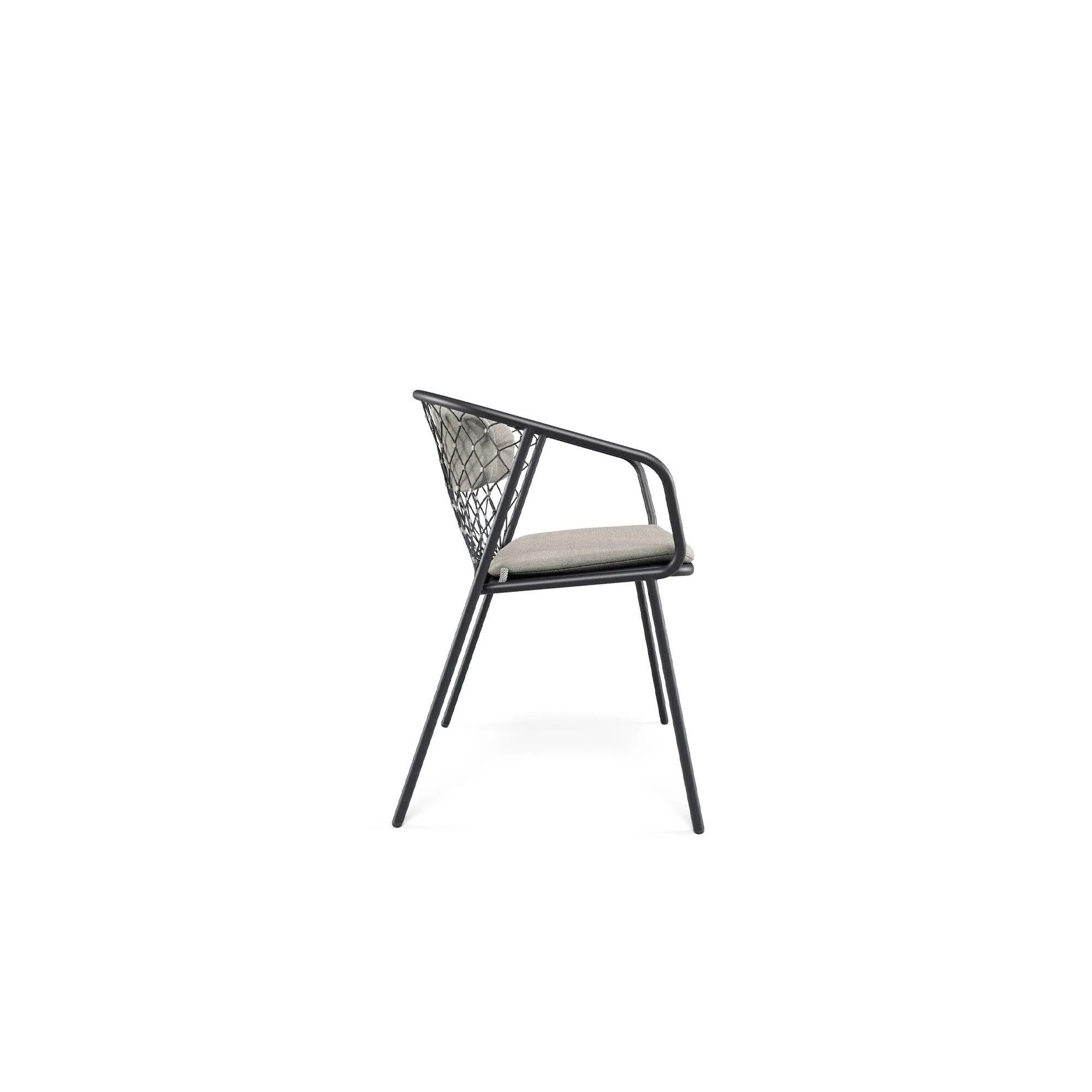 NEF - Basic Collection Kft.
