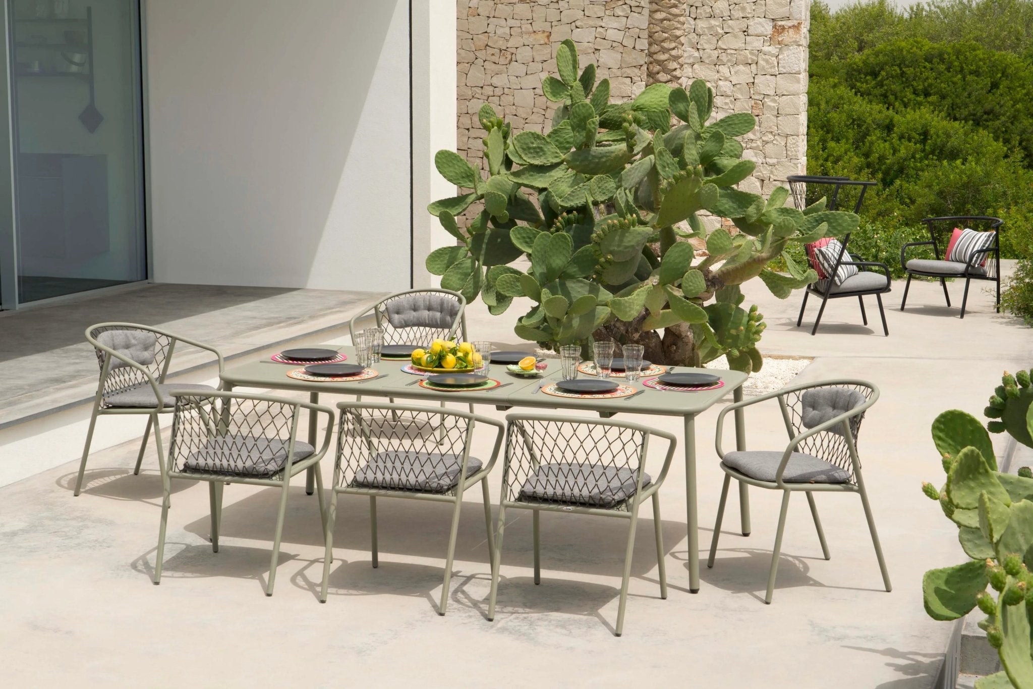 NEF - Basic Collection Kft.