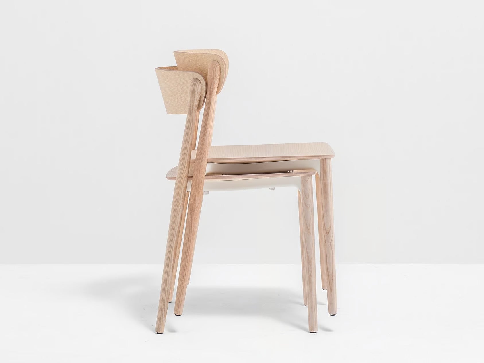 NEMEA 2820 - Basic Collection Kft.