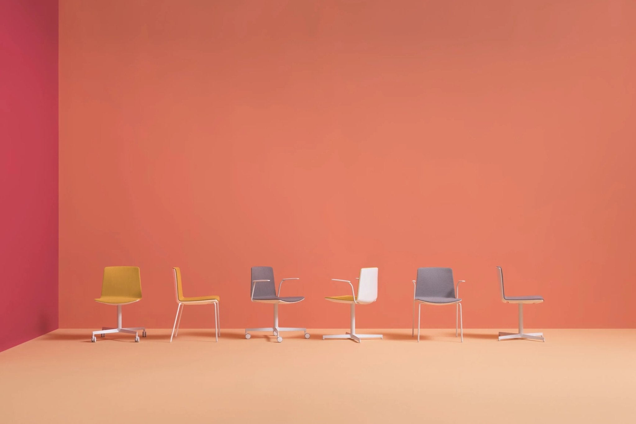 NOA 726 - Basic Collection Kft.