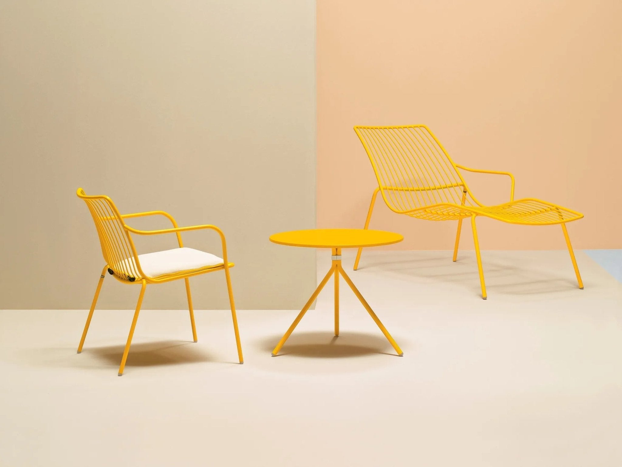 NOLITA 3654 - Basic Collection Kft.