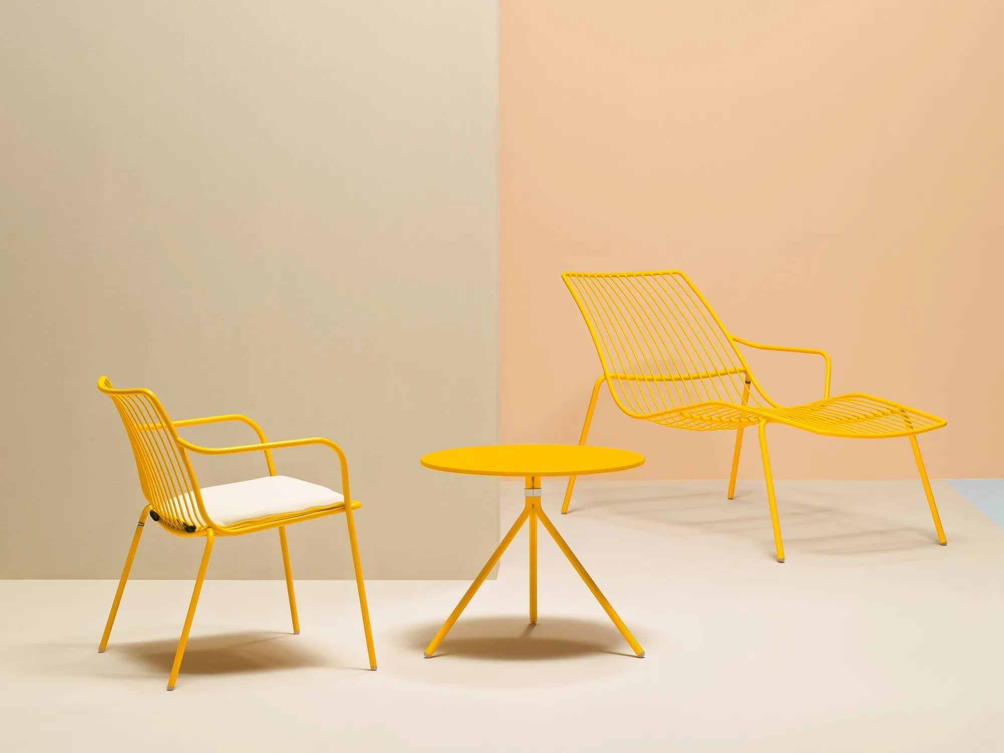 NOLITA 3656 - Basic Collection Kft.