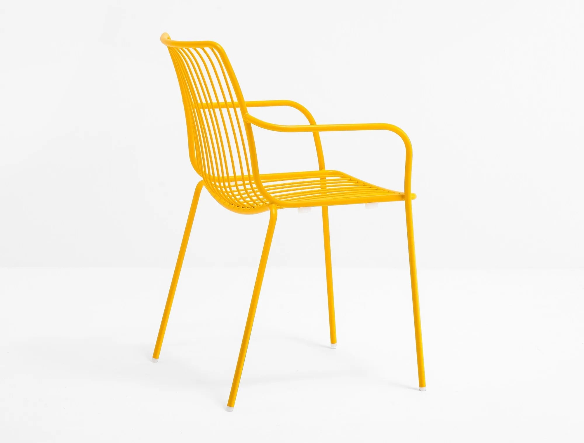 NOLITA 3656 - Basic Collection Kft.