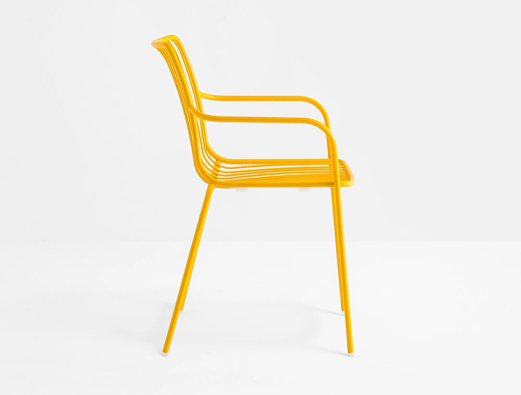 NOLITA 3656 - Basic Collection Kft.