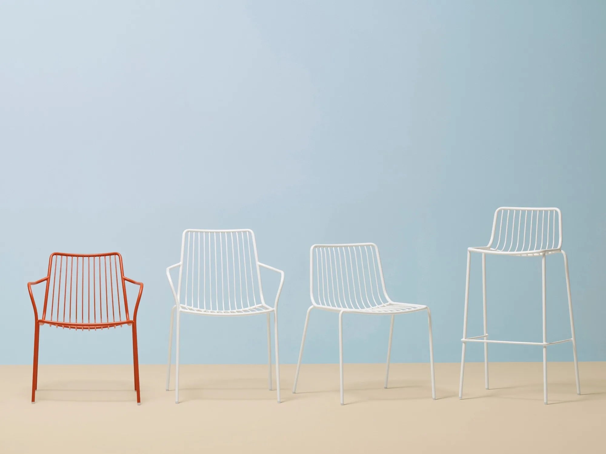 NOLITA 3656 - Basic Collection Kft.