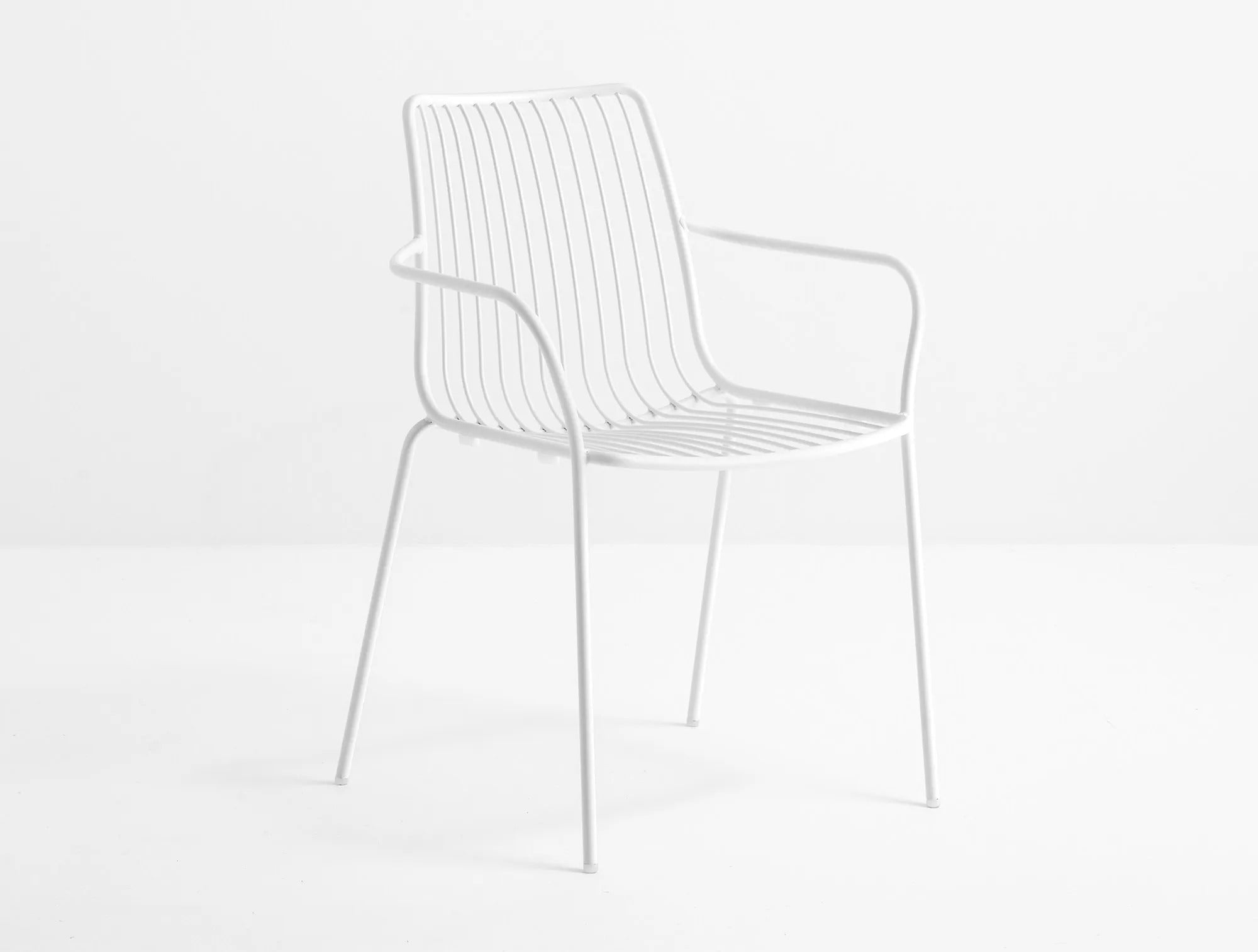 NOLITA 3656 - Basic Collection Kft.