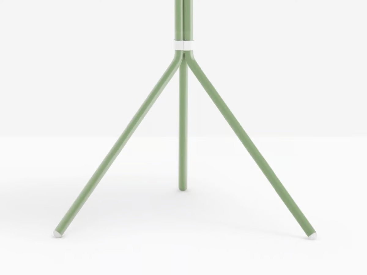 NOLITA 5453 - Basic Collection Kft.