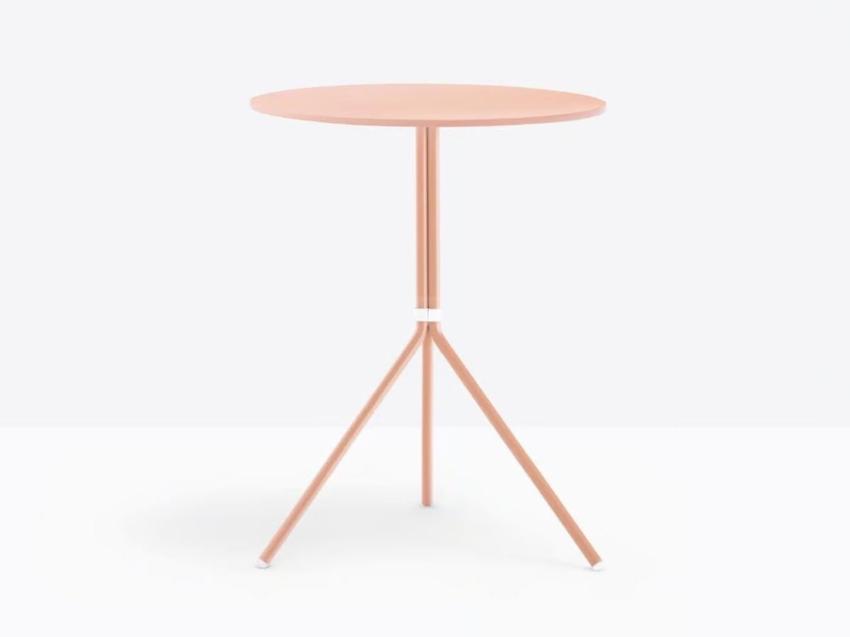 NOLITA 5453 - Basic Collection Kft.