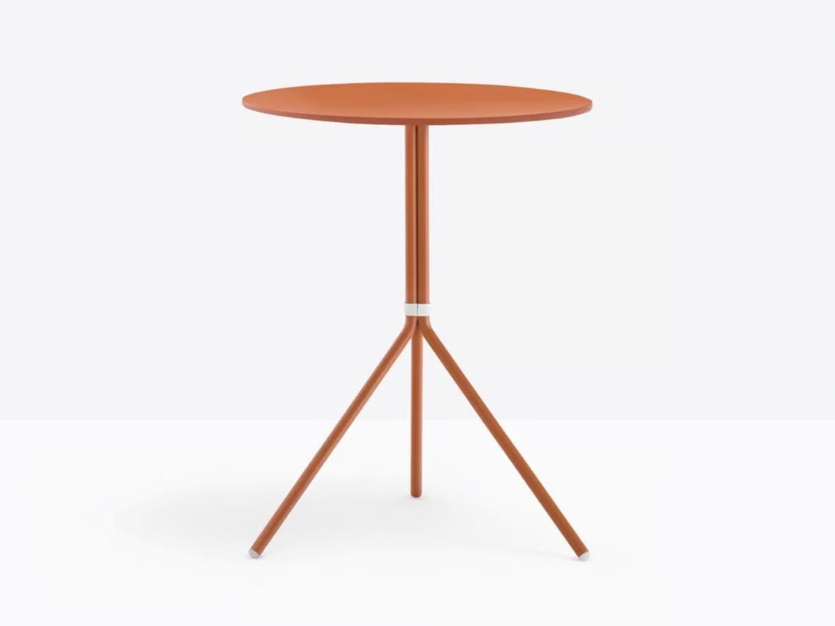 NOLITA 5453 - Basic Collection Kft.